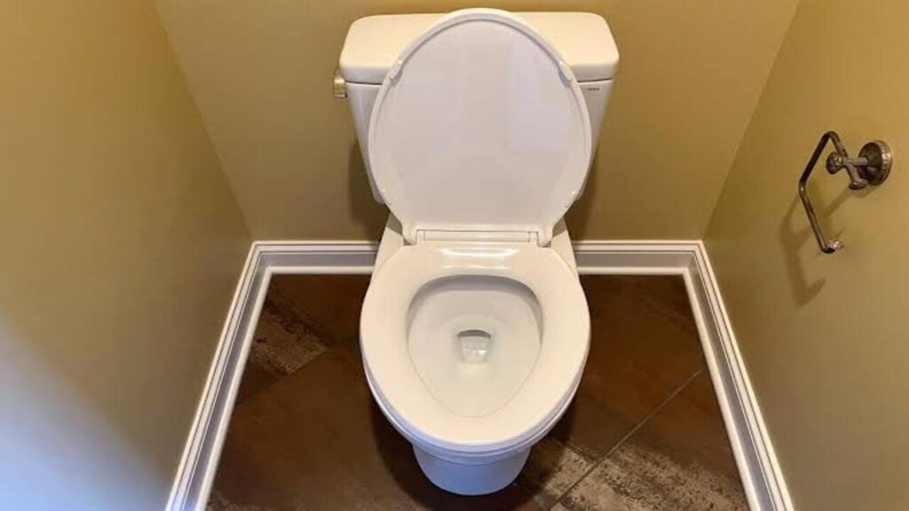 free toilet scheme