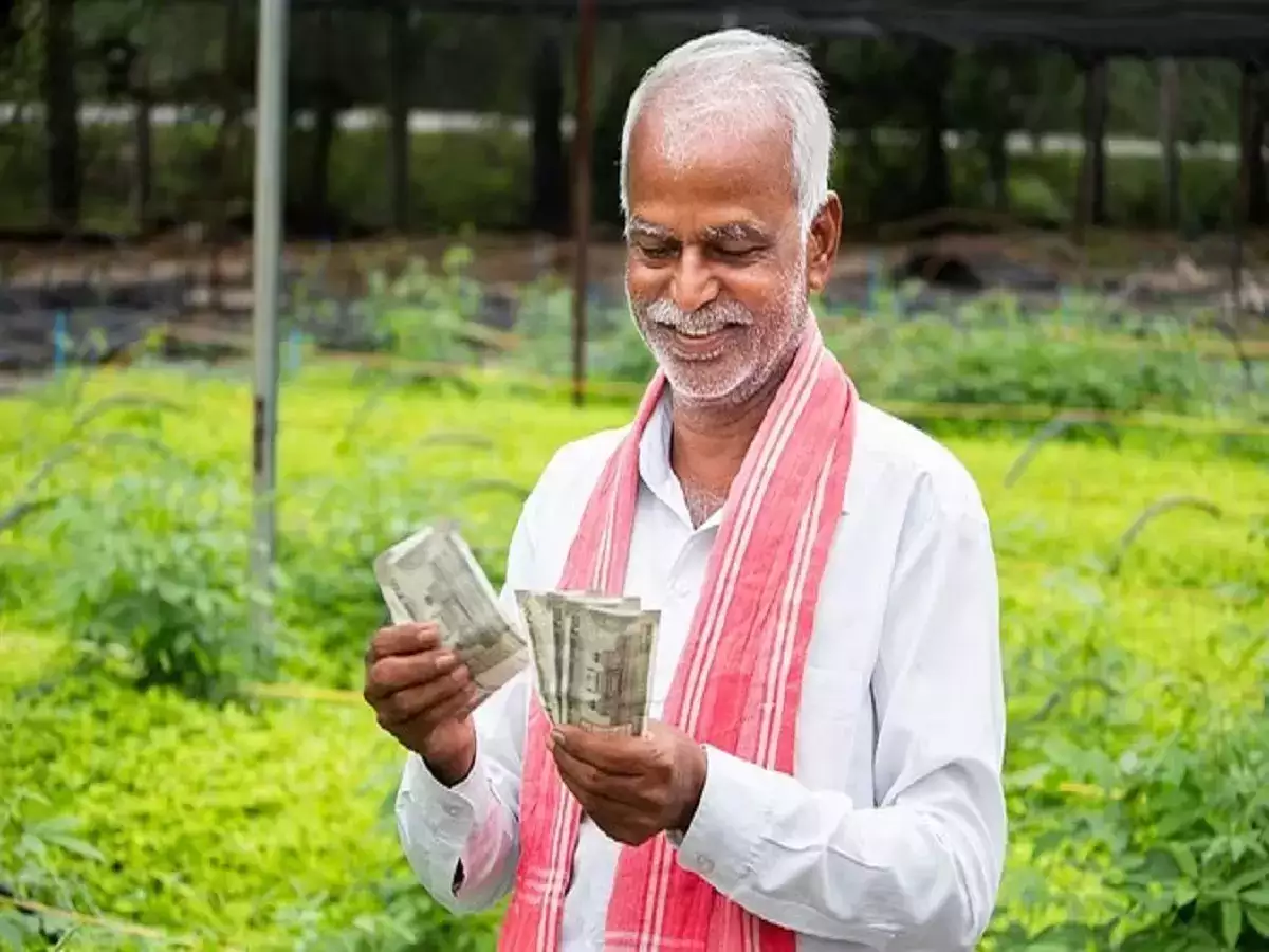 Mukhyamantri Kisan Samman Nidhi Yojana 2024: ₹1000 की स्थिति ऐसे चेक करें